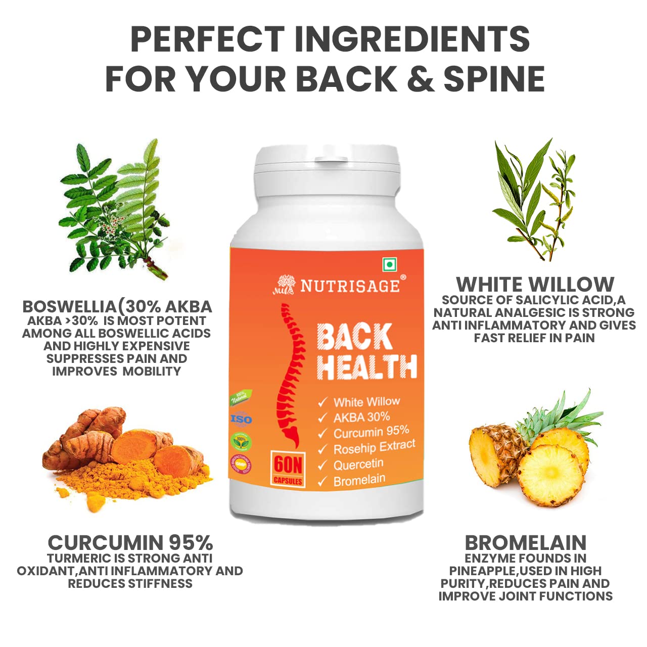 Nutrisage Back Health, Spine and Disc, Back Pain Relief with 9 Potent H- image 5