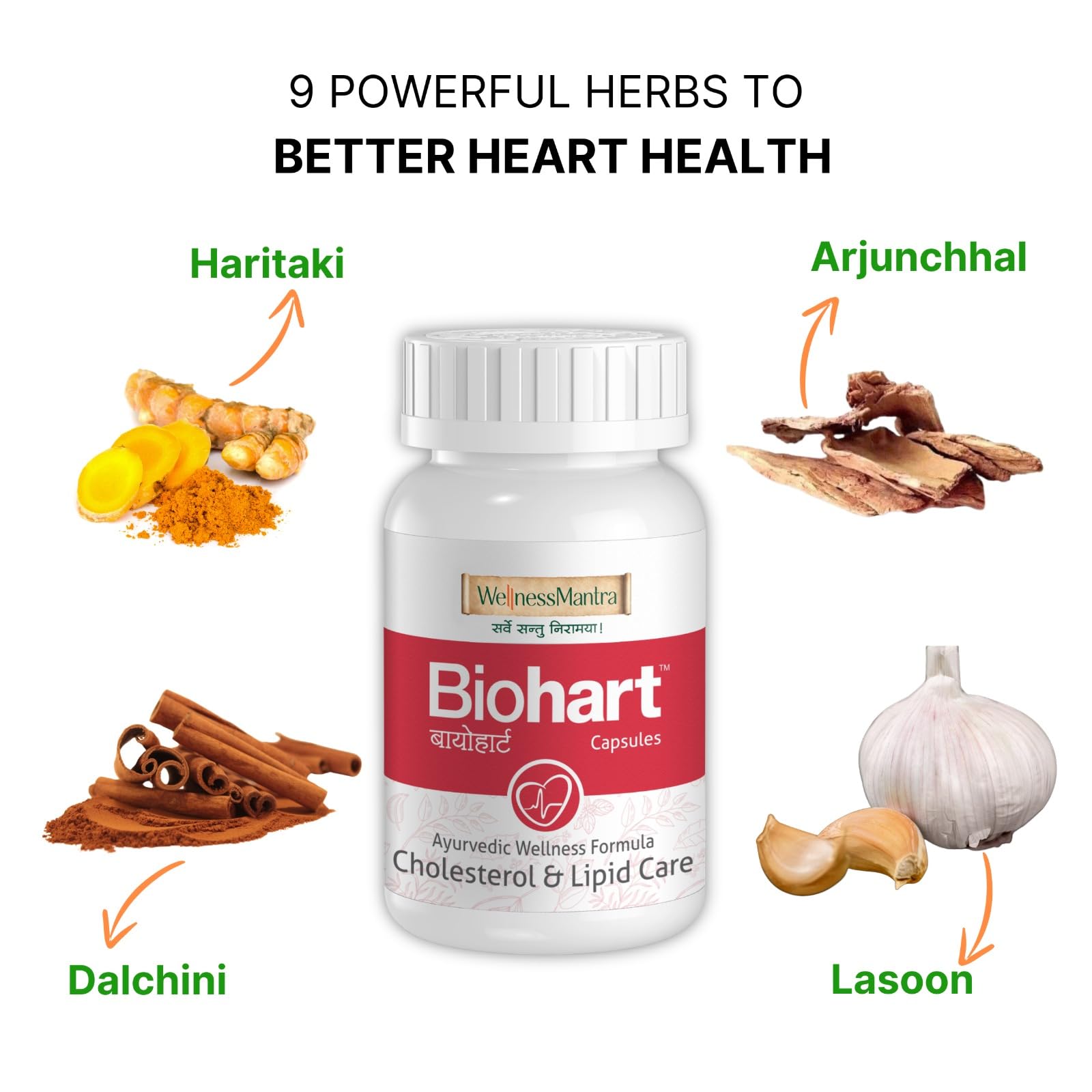Wellness Mantra BioHart for Heart Health and Cholesterol Care | Helps L- image 9