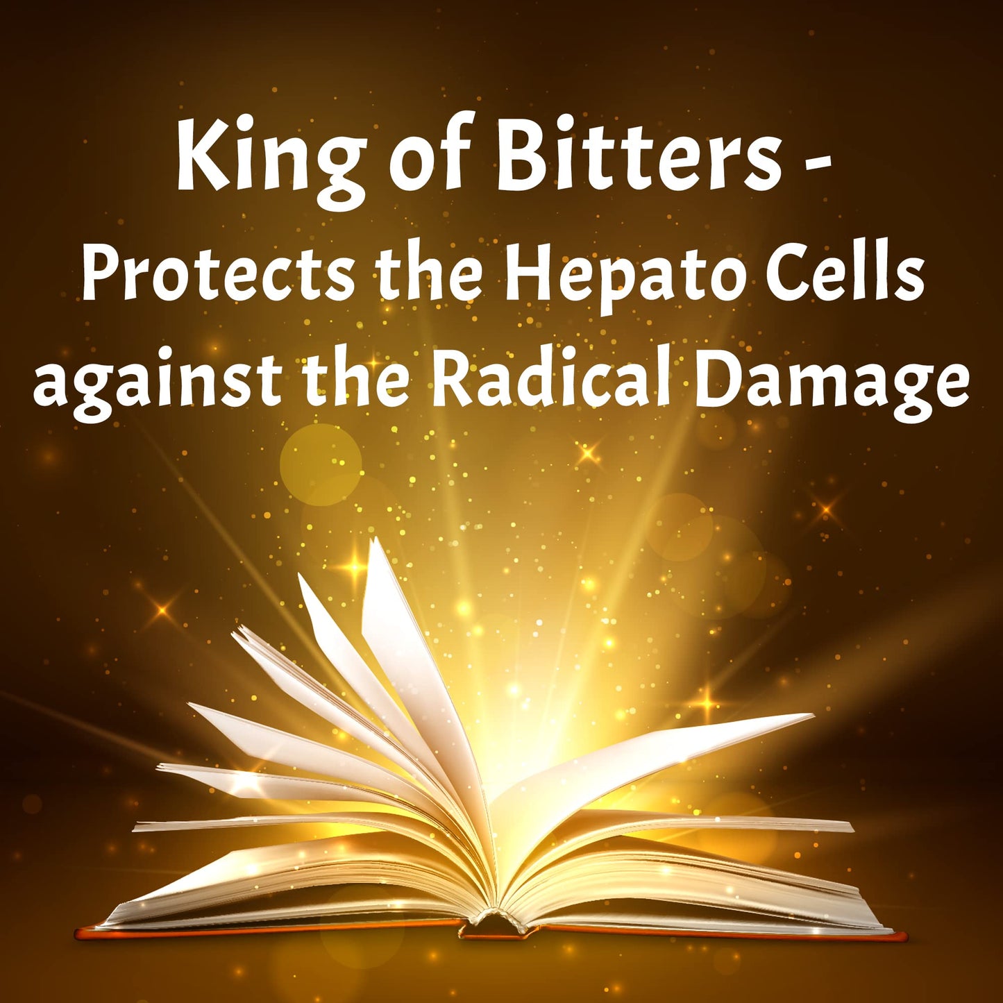 Planet Ayurveda Indian Echinacea Capsules - 60 Capsules | Removes Liver- image 4