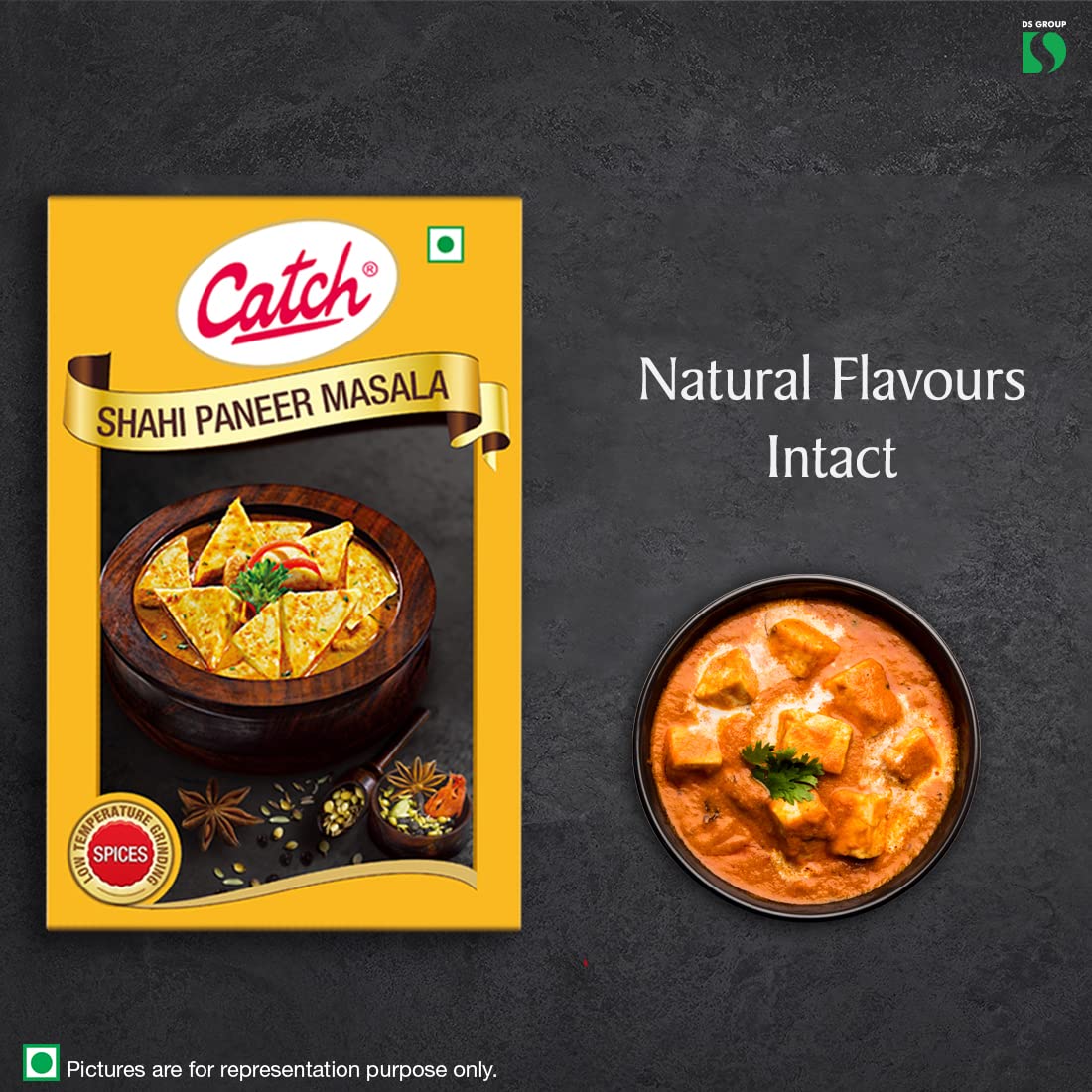 Catch Sahi Paneer Masala, 100g