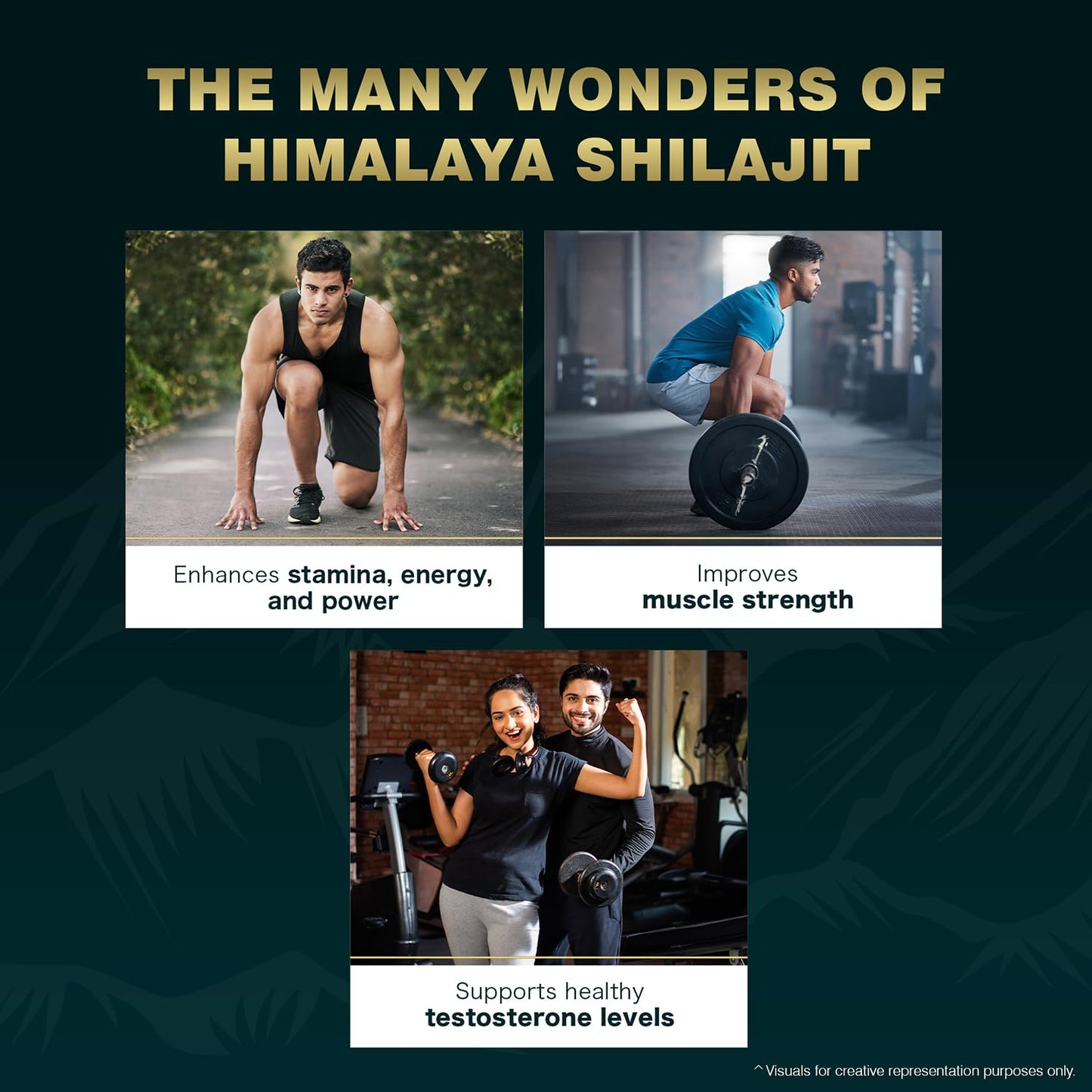 Himalaya Shilajit Resin | 20 g | Enhances Stamina, Energy, and Power | 100% Pure Himalayan *Shilajit* | Supports Healthy Testosterone Level