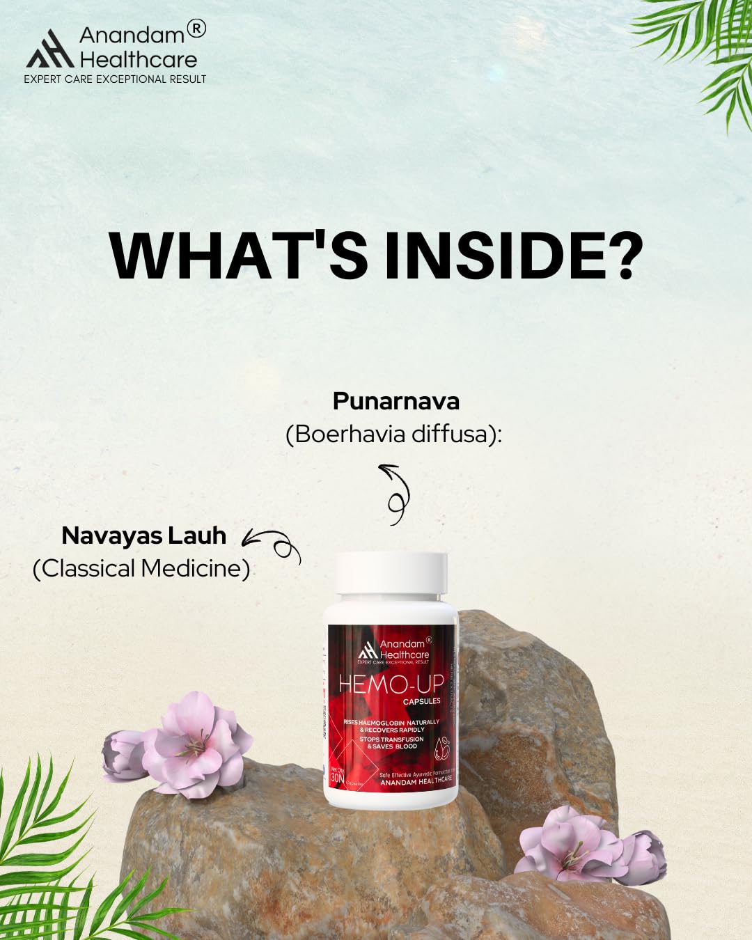 Anandam Organic Hemoup Blood Detox Ayurvedic Natural Extracts | Blood Purifier - 30 Capsules