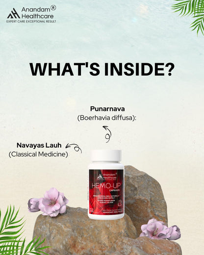 Anandam Organic Hemoup Blood Detox Ayurvedic Natural Extracts | Blood Purifier - 30 Capsules