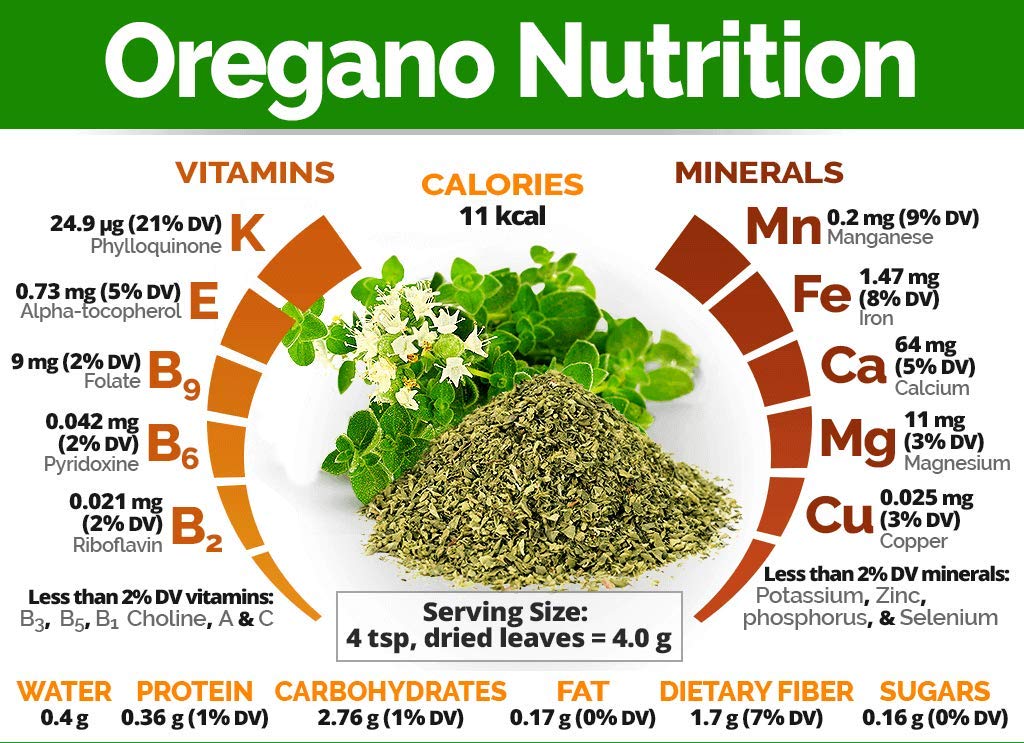 Marwar Oregano Leaves Dried and Crushed Oregano Flakes for Pizza, 200 Grams