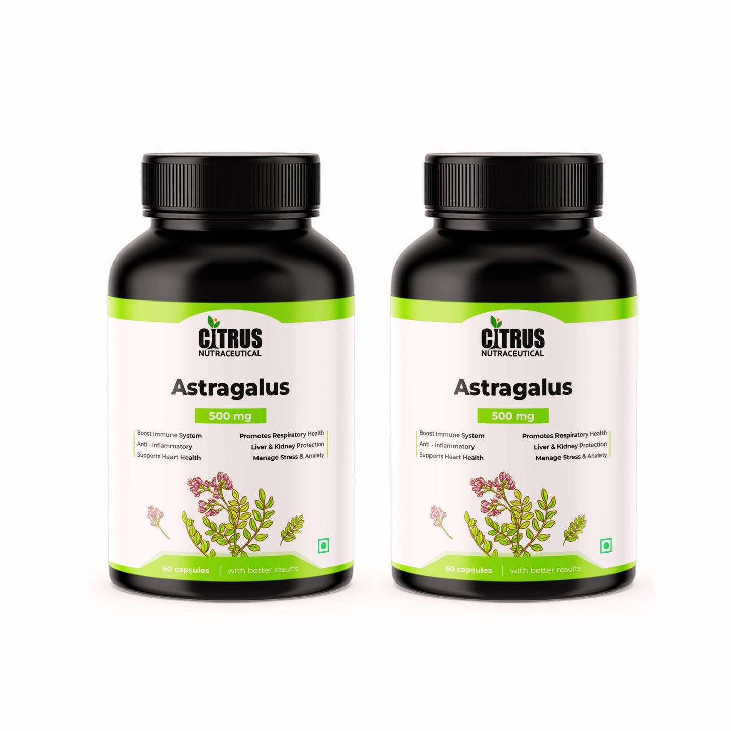 CITRUS NUTRACEUTICAL Astragalus Root Extract 500mg