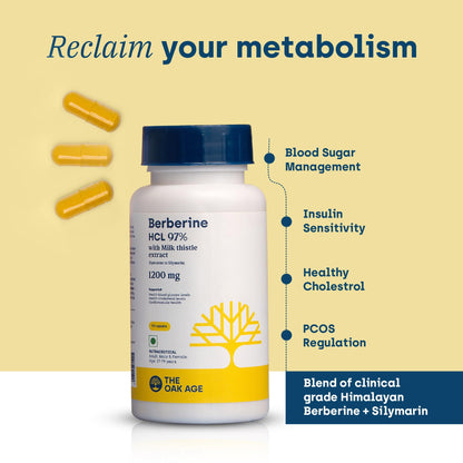 Premium Berberine Supplement with Milk Thistle – 97% Pure Berberine HCL from Himalayas – 3rd Party Lab Verified – Supports Healthy Blood Sugar, Metabolism & PCOS Wellness – 1200mg Per Serving