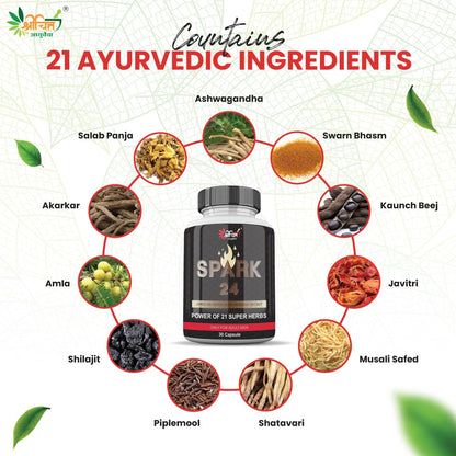 Shrichitt Ayurveda Spark 24 Herbal Capsules | Ayurvedic Herbal Supplement | 30 Capsules (Pack of 1)