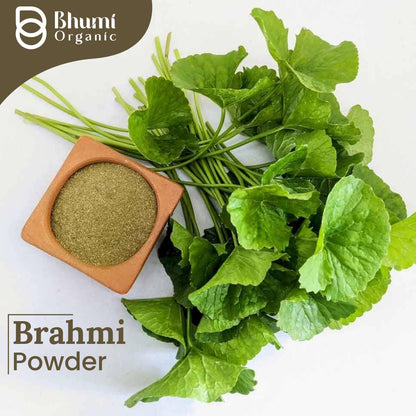 Bhumi Organic Natural Brahmi Powder, 200g, Bacopa Monnieri, Brain Tonic- image 2