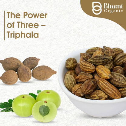 Bhumi Organic Triphala Powder 300g (10.58 Oz) | 100% Pure Ayurvedic Dig- image 8