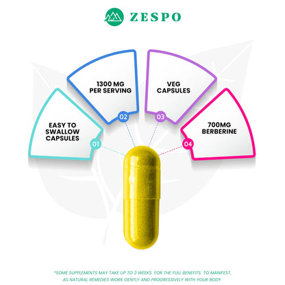 Zespo BERBERINE - Enhanced Formula with Milk Thistle, Turmeric & Cinnamon for Metabolic and Liver Support