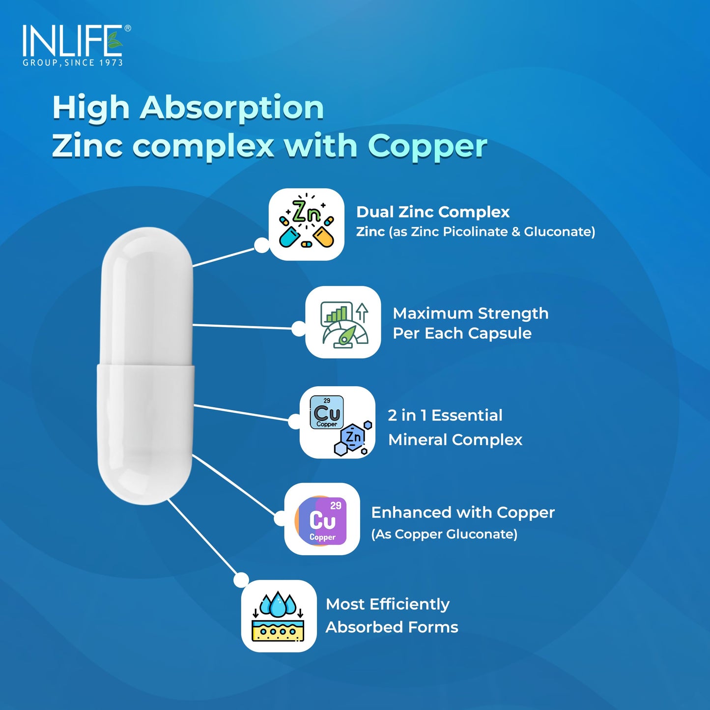 INLIFE Zinc Picolinate with Copper Gluconate Complex, Immunity Skin & Digestion Support Supplement, Overall Wellness, Men Women, 120 Veg Capsules (Pack of 1)