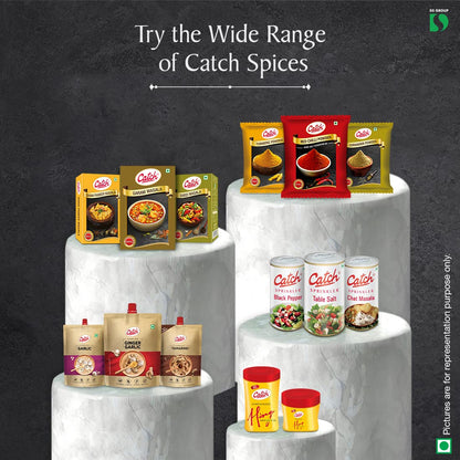 Catch Sahi Paneer Masala, 100g