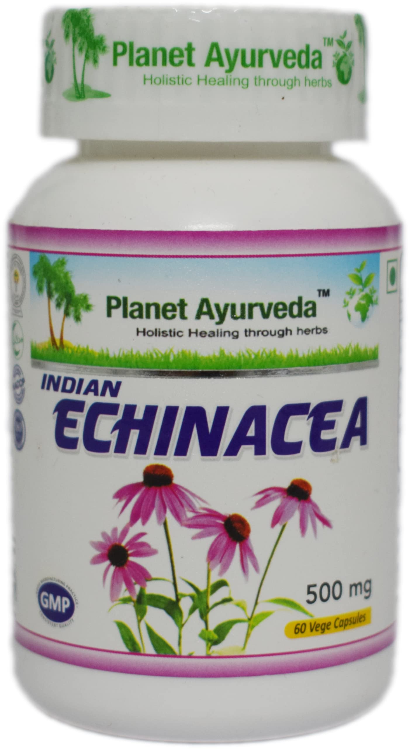 Planet Ayurveda Liver Care Pack - Yakrit Plihantak Churna | Indian Echi- image 5