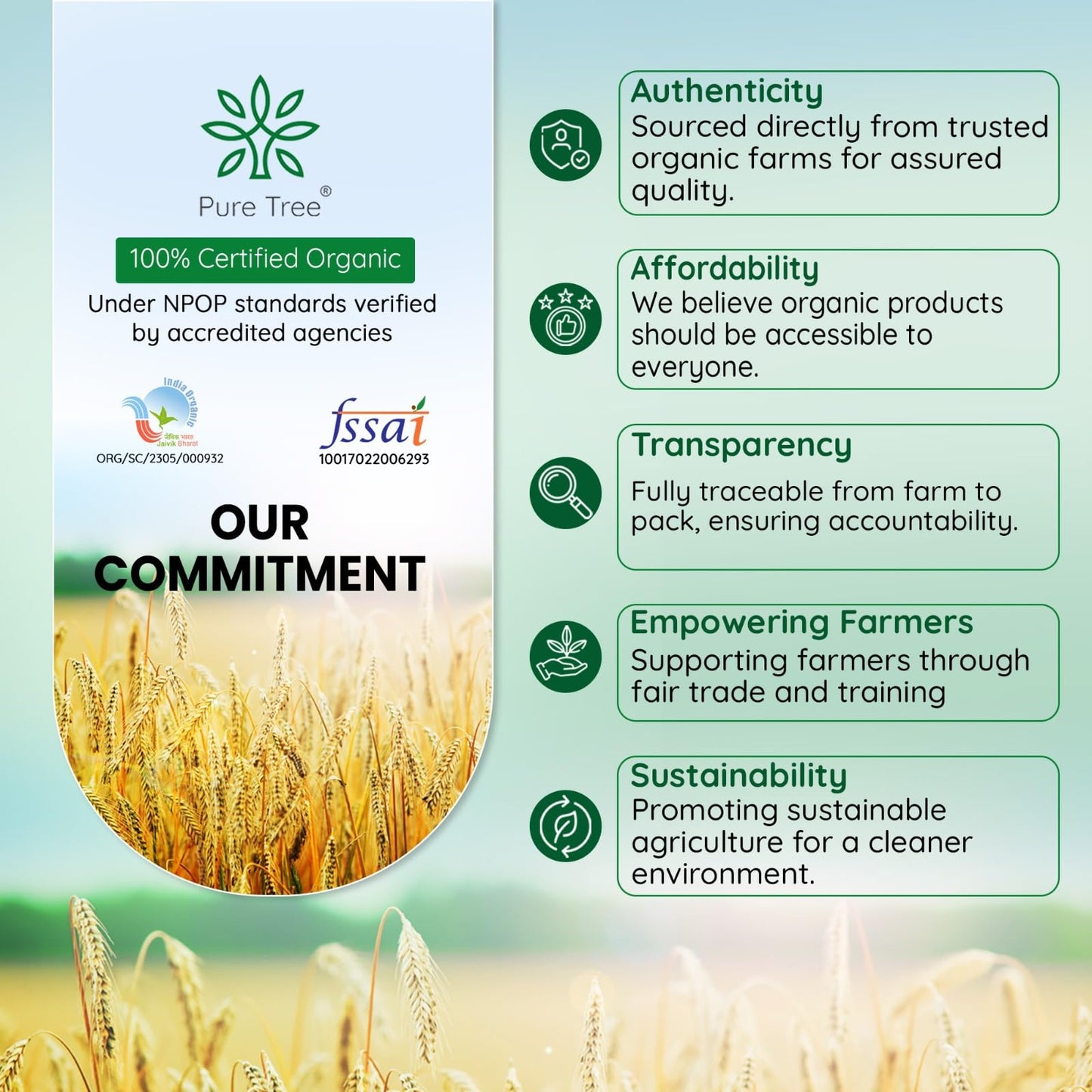 Pure Tree Certified Organic Dalchini Whole | 100 g | Cinnamon Stick | Cinnamon Bark | Spices Whole | Garam Masala | Sweet Aroma & Flavour