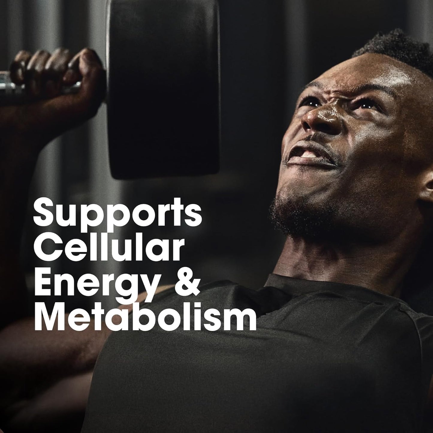 Optimum Nutrition (ON) Multivitamin for MEN– 60 Tablets, 26 Vitamins &- image 4