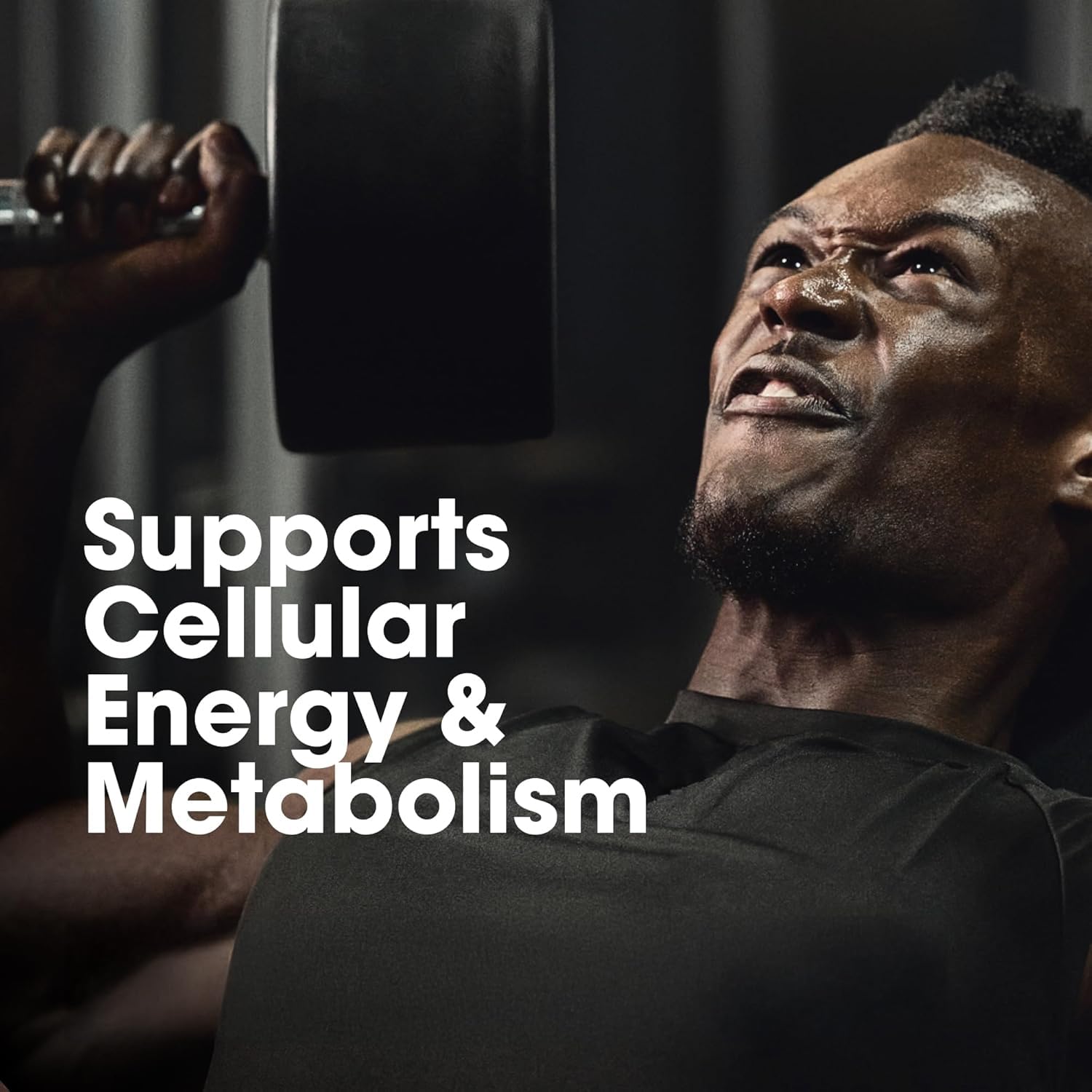 Optimum Nutrition (ON) Multivitamin for MEN– 60 Tablets, 26 Vitamins &- image 4