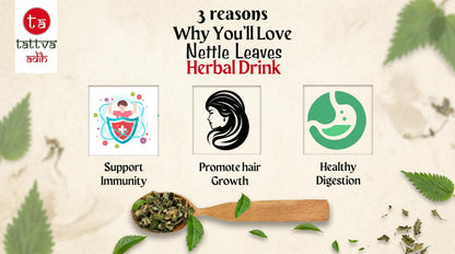 "Tattva Adih Himalayan Stinging Herbal Nettle Leaf Infusion | 50 grams, 30+ Cups I Brain Health, Hair Growth & Digestion | Caffeine-Free Nettle Leaves in Airtight Tin "