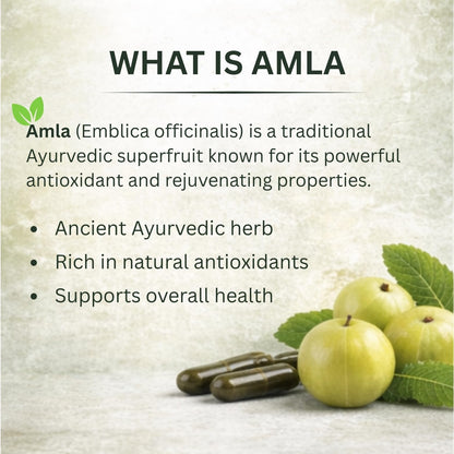 Ayurcaps Amla Capsules 500mg (60 Veg Capsules) | Ayurvedic Amla Supplement | Natural Source Of Vitamin C | Immune And Antioxidant Support | Hair And Skin Support (Pack of 1)