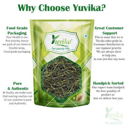 YUVIKA Green Tea Leaves (200 Grams)- image 3