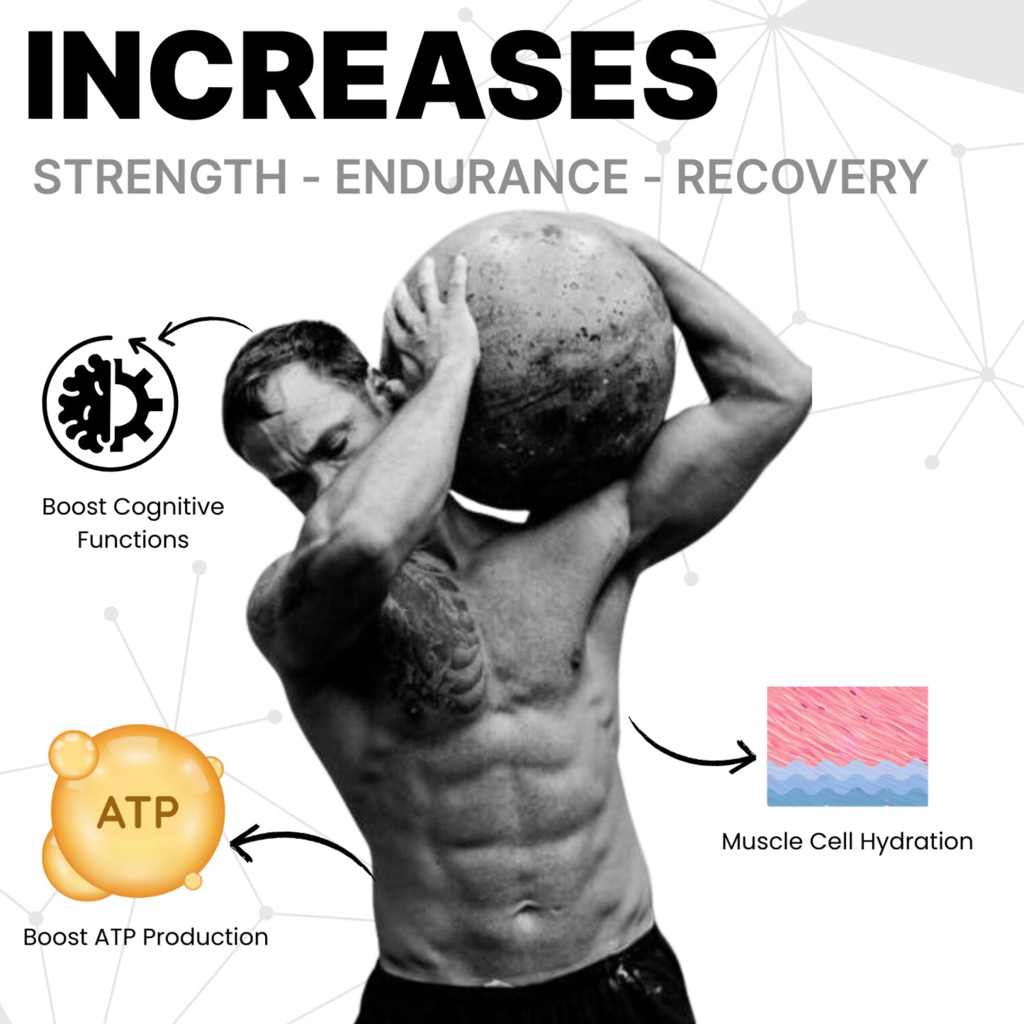 My Rare Creatine Monohydrate (83 Servings, Pineapple Theory Flavour) |Supports Muscle Strength, Build Endurance & Faster Recovery | 3rd Party Lab Tested | Creatine For Athelete's - 291g With Free Shaker