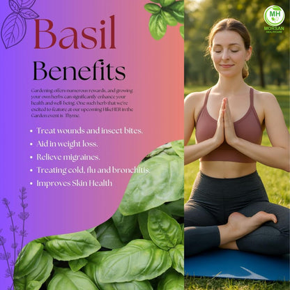 Morsan Healthcare TULSI Capsules – 60 Veg Capsules | Pure Holy Basil Extract (Ocimum sanctum) | Natural Ayurvedic Herbal Supplement | Plant-Based Formula | Pack of 2