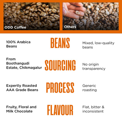 ODD COFFEE ROASTERS 100% Arabica Coffee Fruity, Floral And Milk Chocolate Breakfast Blend Coffee Powder For French Press 250 Gram AAA Beans
