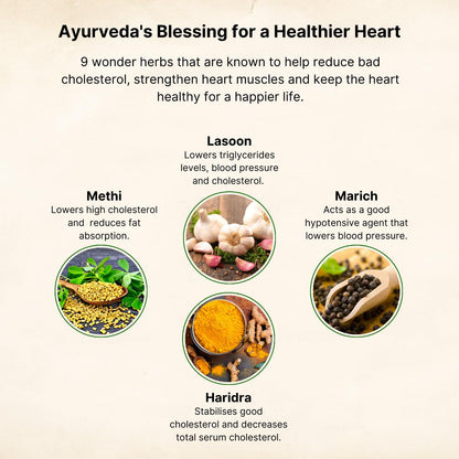 Wellness Mantra BioHart for Heart Health and Cholesterol Care | Helps L- image 8