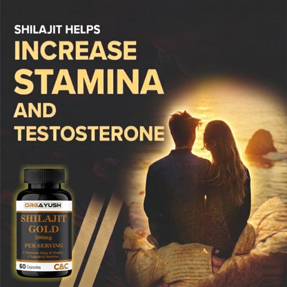 ORGAYUSH Shilajit Gold Capsules – Nano Formulated Himalayan Shilajit Supplement for Energy, Stamina, Vitality & Immunity Support with Fulvic Acid & Minerals (Pack of 1)
