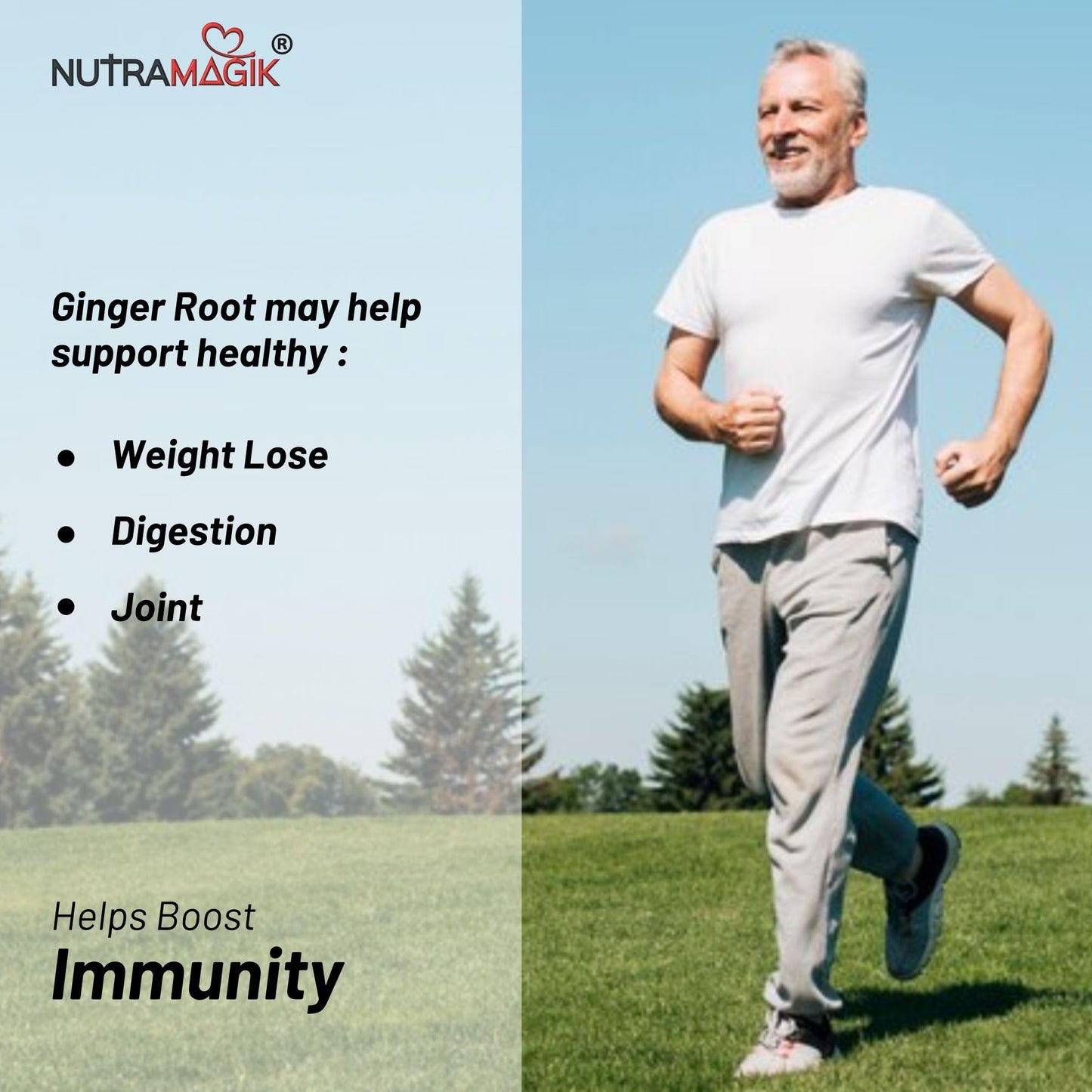 Nutramagik Ginger Extract for Immunity Building- Support Antioxidant and Digestive Health (60 Capsules, 1)