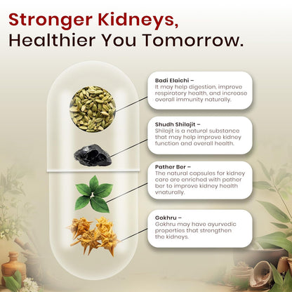 Jeena Sikho Stoni| Herbal Supplements For Kidney Care | Naturally Blended With Pather Ber, Shudh Shilajit, And Gokhru| Ayurvedic Remedy For Kidney Wellness, 60 Capsules