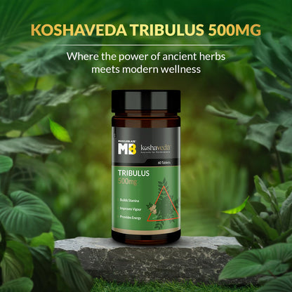 MuscleBlaze Koshaveda Tribulus 500mg (60 Tablets) | Ayurveda for Perfor- image 3
