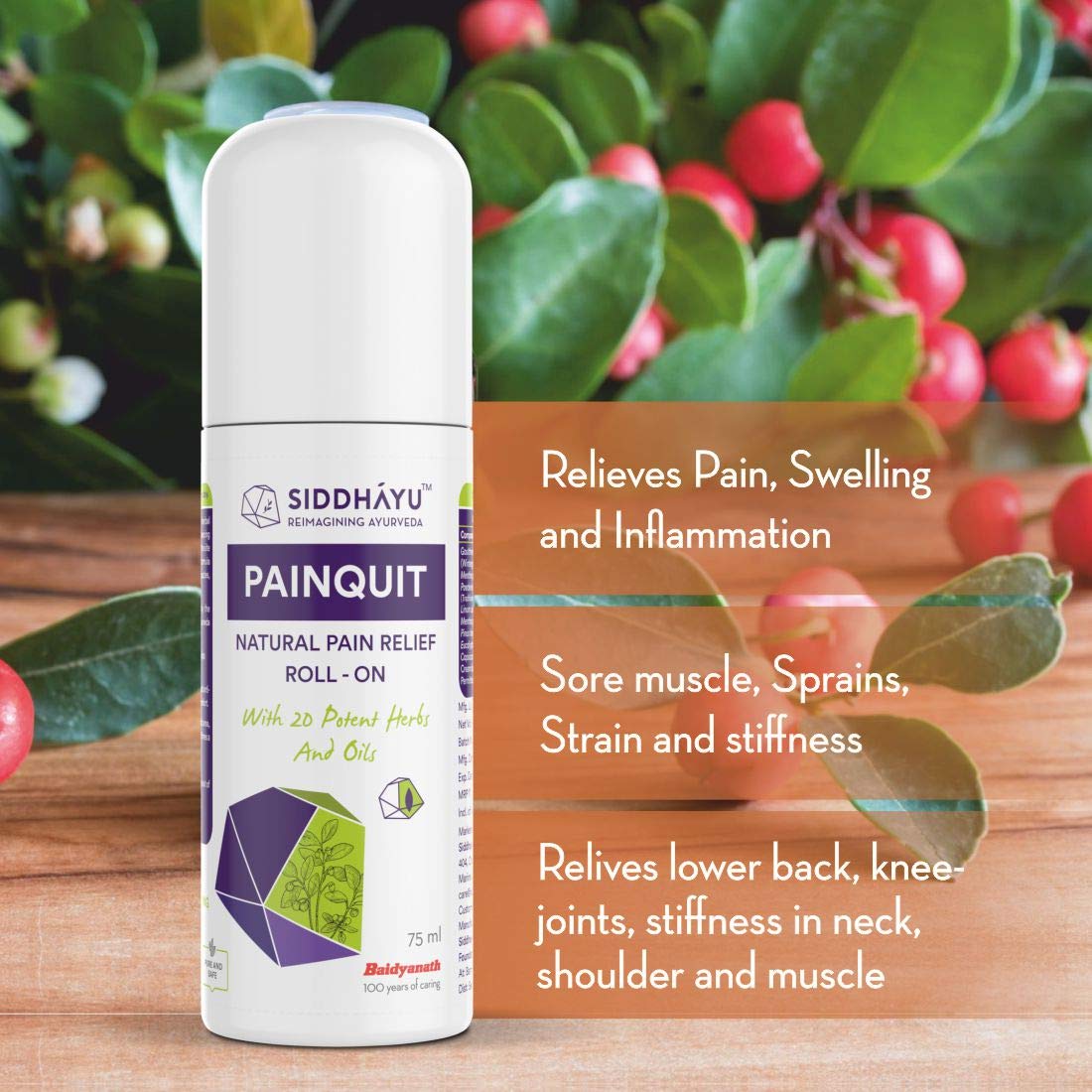 Siddhayu Painquit Roll-On - 75ml (From the house of Baidyanath) I Joint Pain Relief I Back Pain Roll On