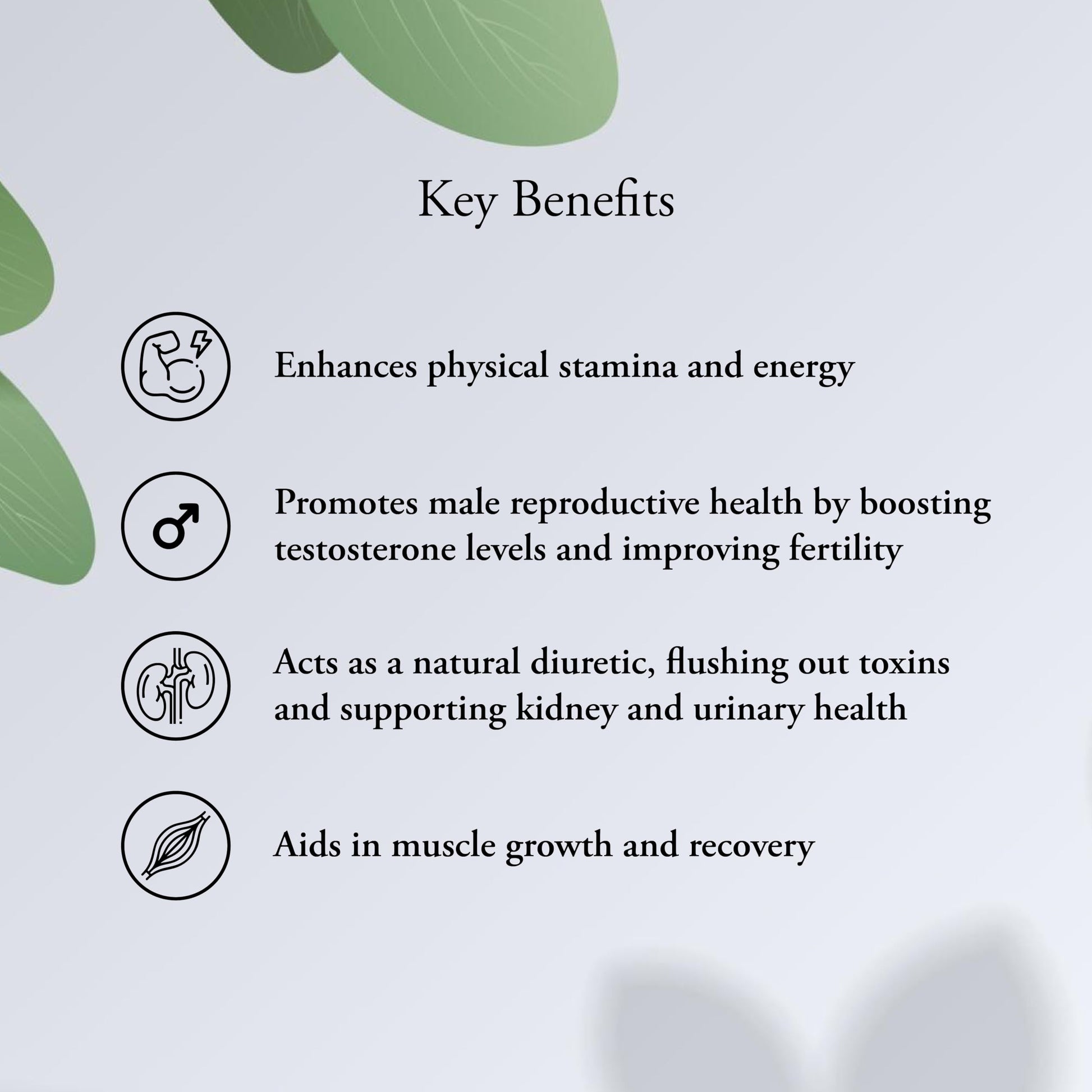 Sitaram Ayurveda Gokshura Capsules 60 Nos | More Potent 600 MG Extract- image 8