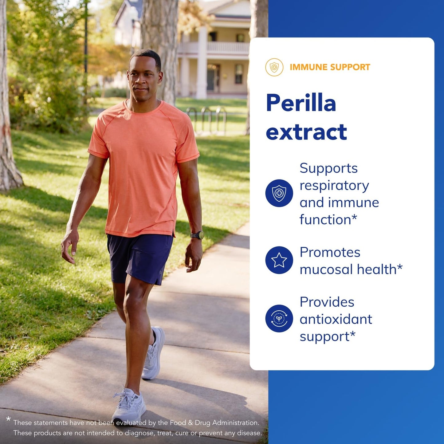 Pure Encapsulations - Perilla Extract - Support for Healthy Modulation of Th2 Cytokines and Mucosal Health* - 90 Capsules