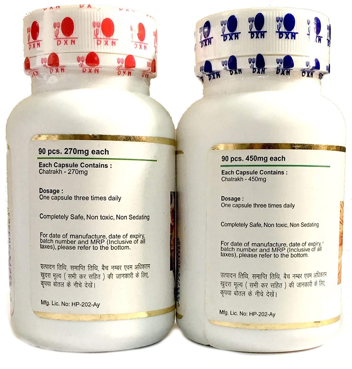 DXN PEP SOLUTION Reishi Gano And Ganocelium Capsules - Rg & Gl (90 + 90- image 2