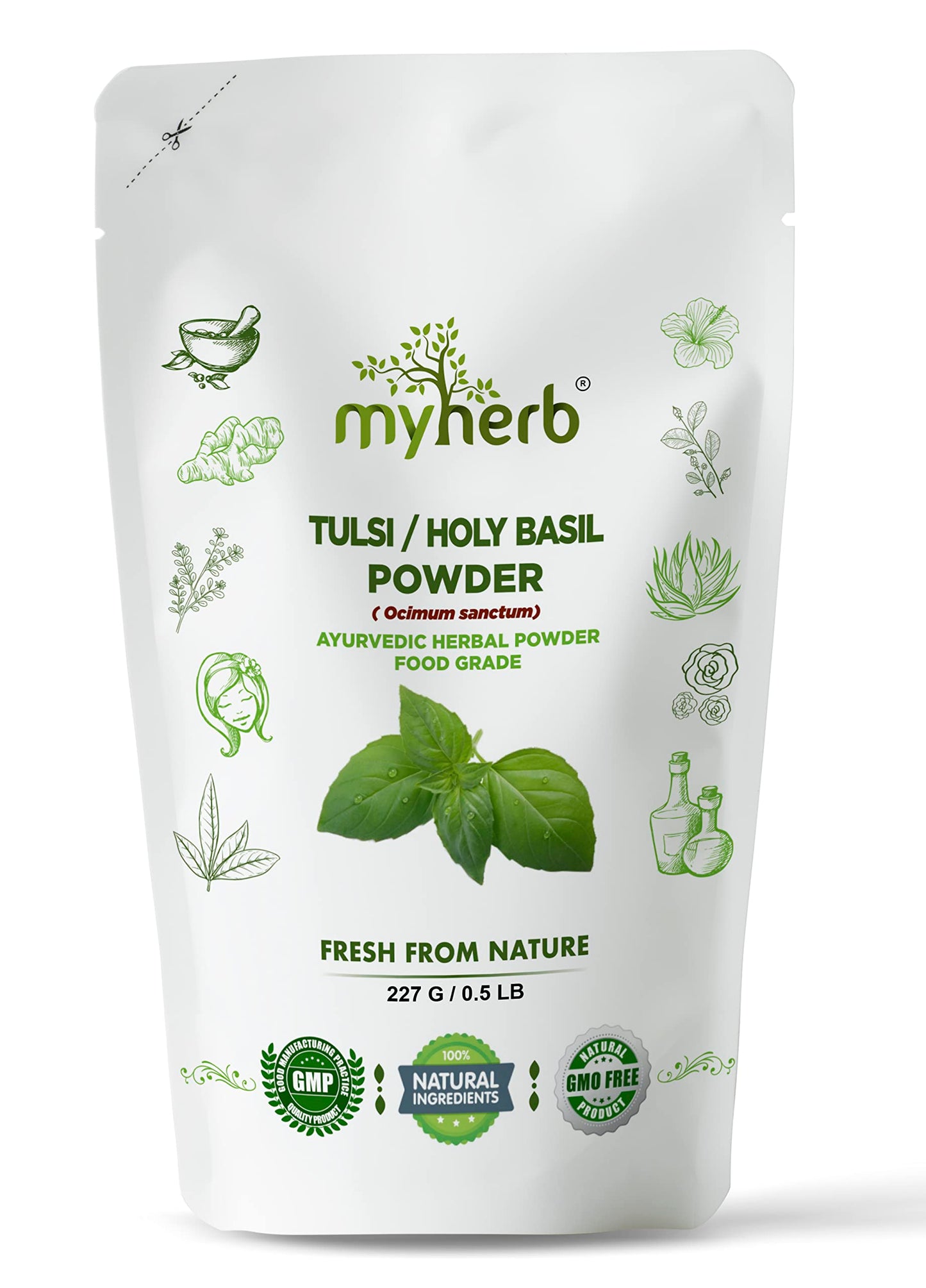 MYHERB 100% Natural Organic Tulsi Powder (Ocimum Sanctum) Holy Basil || 227 Gm/0.5 Lbs || Ayurvedic Powder || Boost Immunity, Metabolism || For Men & Women