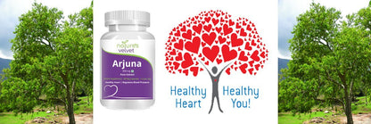 Natures Velvet Lifecare 500 mg Arjuna Pure Extract Tablet - 60 Capsules- image 4
