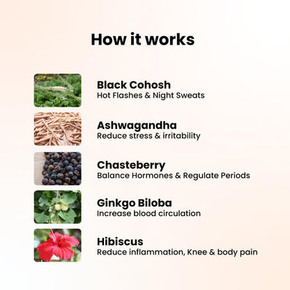 Gytree Menopause Wellness for Women 40+, Plant-Based Support for Hot Flashes, Mood & Hormonal Balance, Daily Wellness Supplement with Superherbs, 60 Capsules