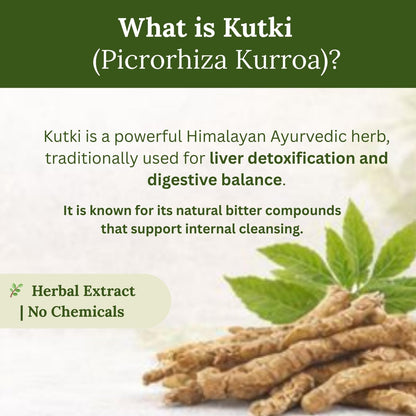 Ayurcaps Kutki 500mg Capsules | Ayurvedic Herbal Supplement For Liver And Digestive Wellness | Plant-based Extract For Daily Wellness Routine | 60 Veg Capsules (60 Count (Pack of 1))