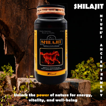 Knoll Healthcare Shilajit/Shilajeet Energy Made with 100% Pure with Ashwagandha for All Day Energy & Stamina for Men Highly Energetic Booster Daily tracker 400g Shilajit Malt Bottle Pack Of 1