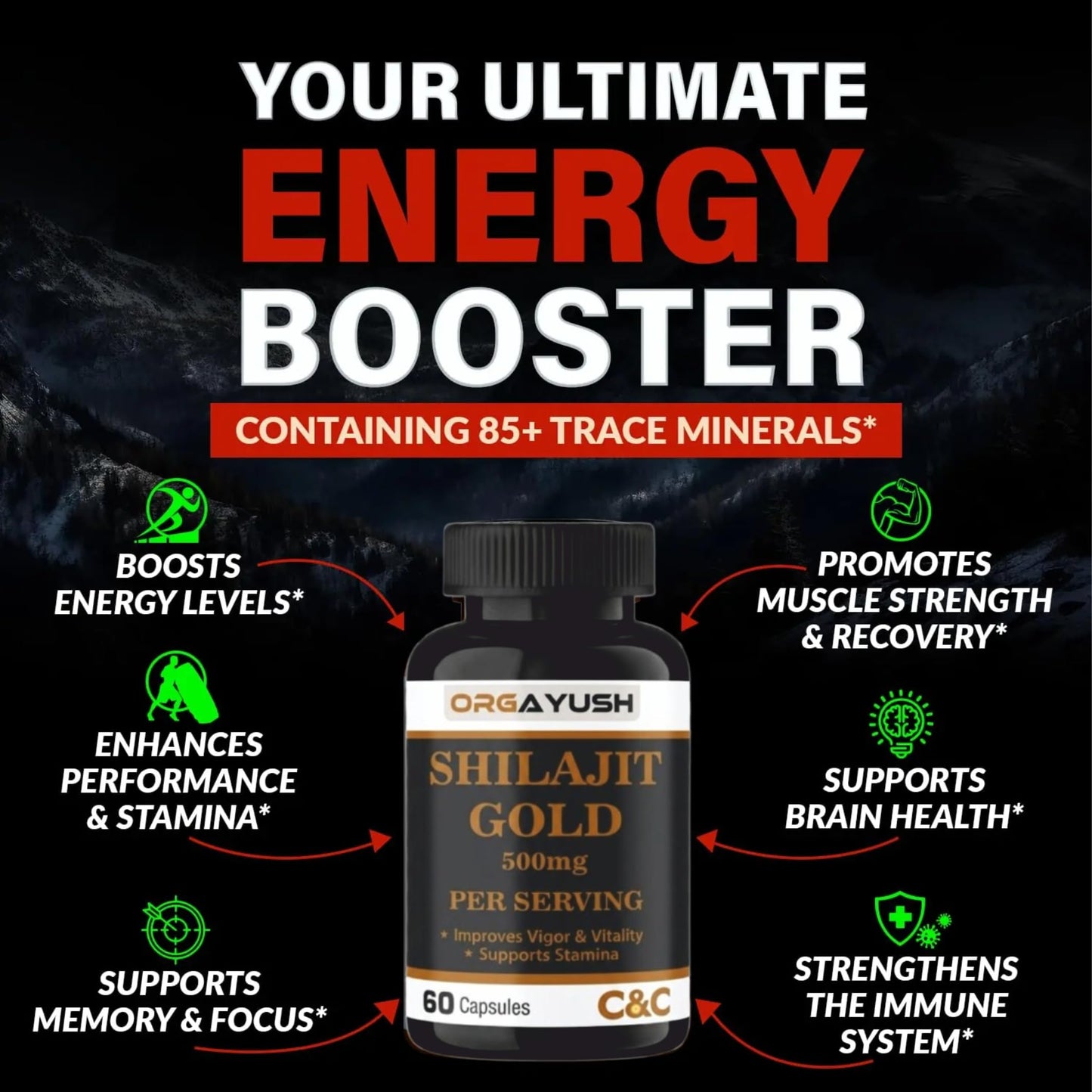 ORGAYUSH Shilajit Gold Capsules – Nano Formulated Himalayan Shilajit Supplement for Energy, Stamina, Vitality & Immunity Support with Fulvic Acid & Minerals (Pack of 1)
