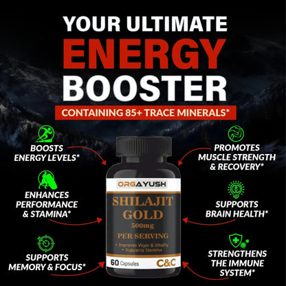 ORGAYUSH Shilajit Gold Capsules – Nano Formulated Himalayan Shilajit Supplement for Energy, Stamina, Vitality & Immunity Support with Fulvic Acid & Minerals (Pack of 1)