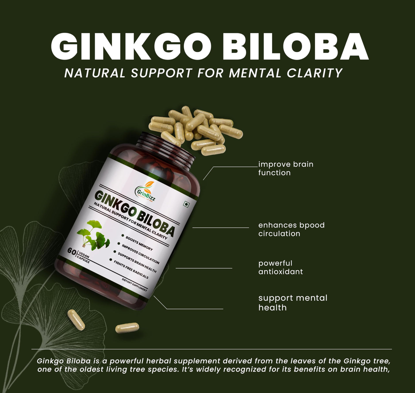 Grinbizz Ginkgo Biloba Capsules | Supports Memory, Focus & Brain Health | Improves Circulation & Mental Clarity | Antioxidant Herbal Supplement | 60 Capsules