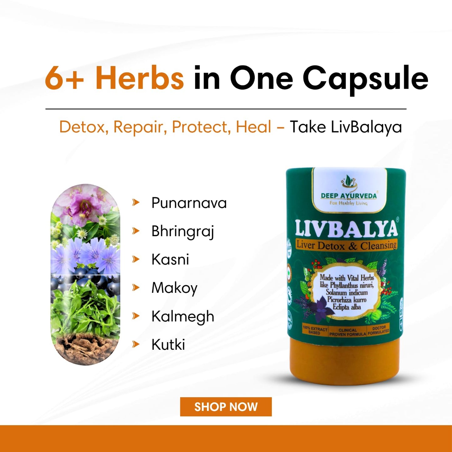 Livbalya Liver Detox Supplement | Supports Liver Health & Detoxification | Herbal Cleanse Formula | 60 Vegan Capsules