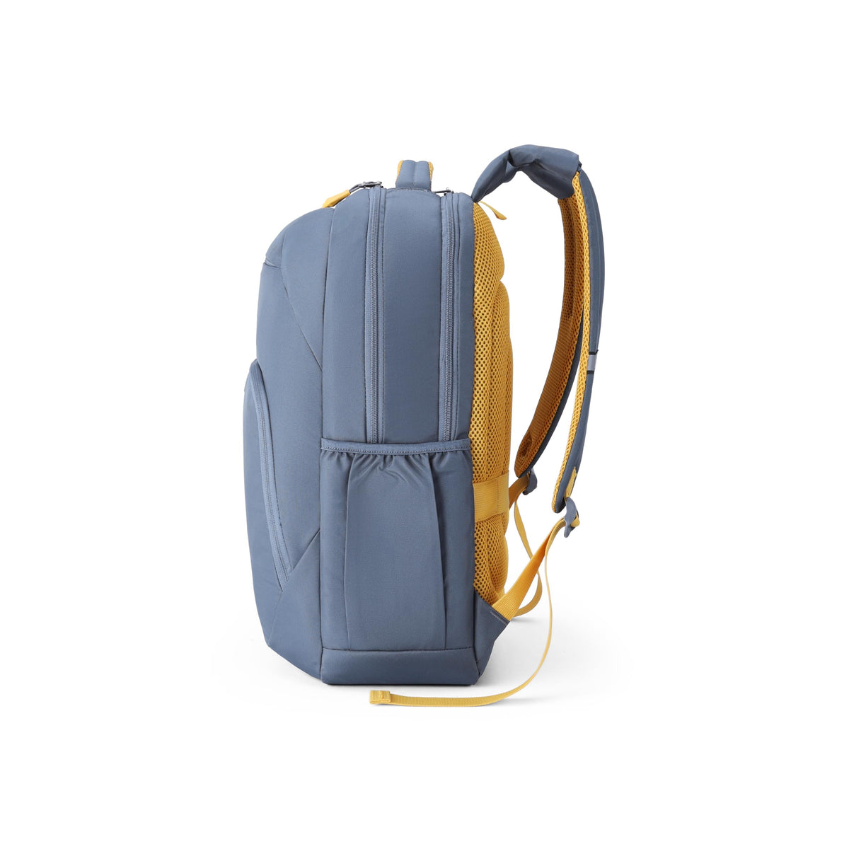 American Tourister Brett 4.0 | 32.5 Ltrs | 2 Compartments | Bottle Pocket | Ergonomic Padded Back Panel & Shoulder Straps | Laptop Backpack | 1 Year International Warranty | Graphite