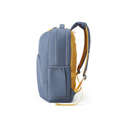 American Tourister Brett 4.0 | 32.5 Ltrs | 2 Compartments | Bottle Pocket | Ergonomic Padded Back Panel & Shoulder Straps | Laptop Backpack | 1 Year International Warranty | Graphite