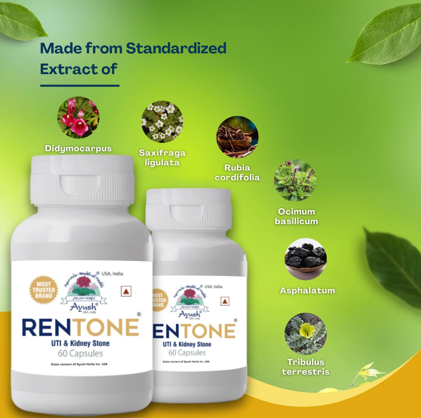 Ayush Herbs Rentone UTI & Kidney-Stone 60 Capsules | Ayurvedic Herbal Supplement | Medicine for Kidney Detox, Natural Support for Kidney-Stone