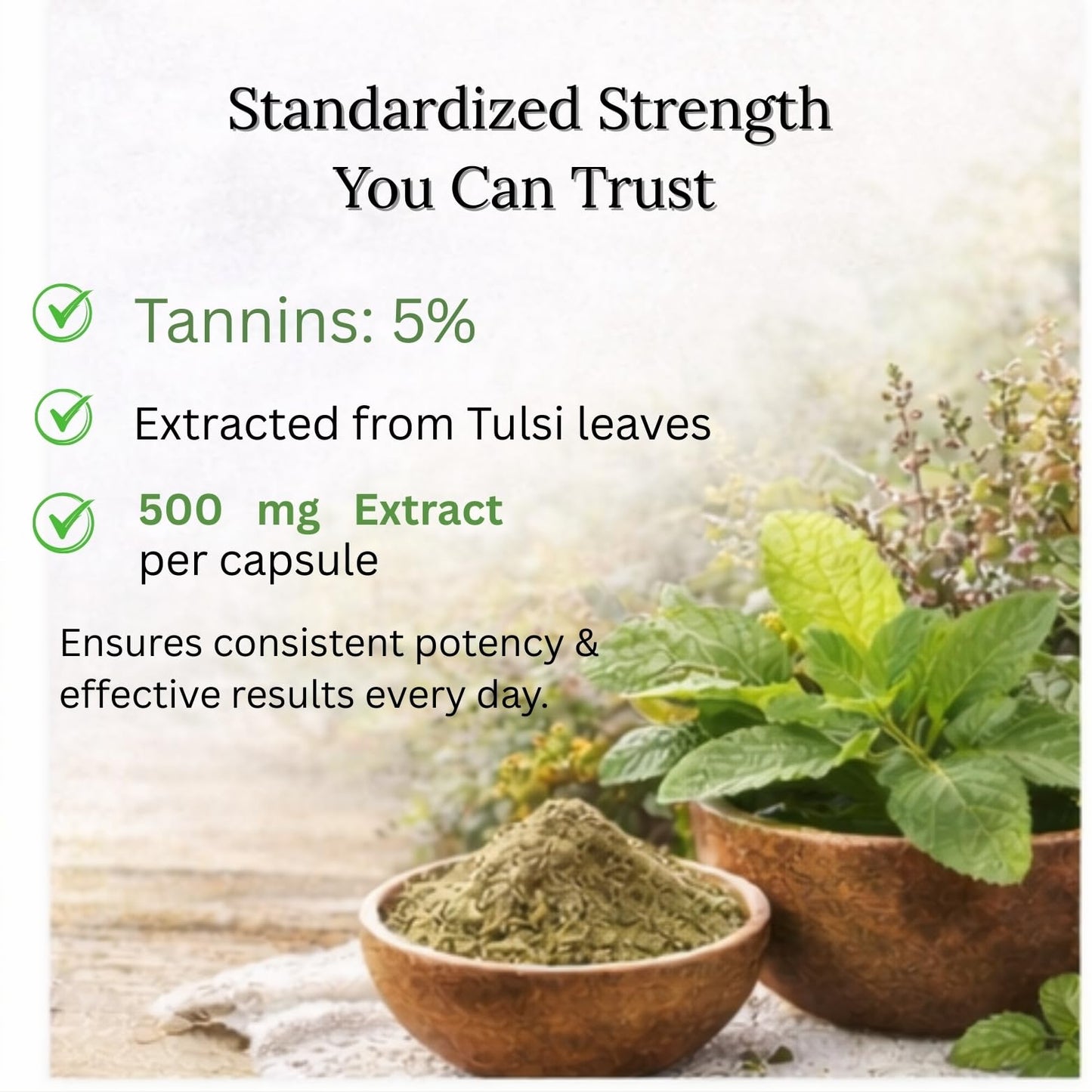 Ayurcaps Tulsi 500mg 60 Veg Capsules Holy Basil Ayurvedic Herbal Supplement Supports Immunity, Throat And Respiratory, Stress Wellness Natural Antioxidant And Daily Care