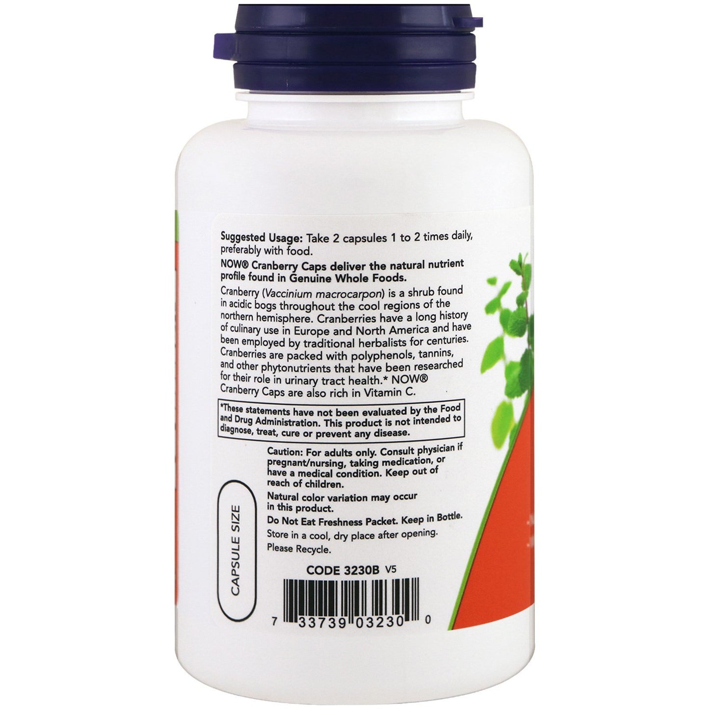 Now Foods, Cranberry Concentrate, 100 Capsules- image 2