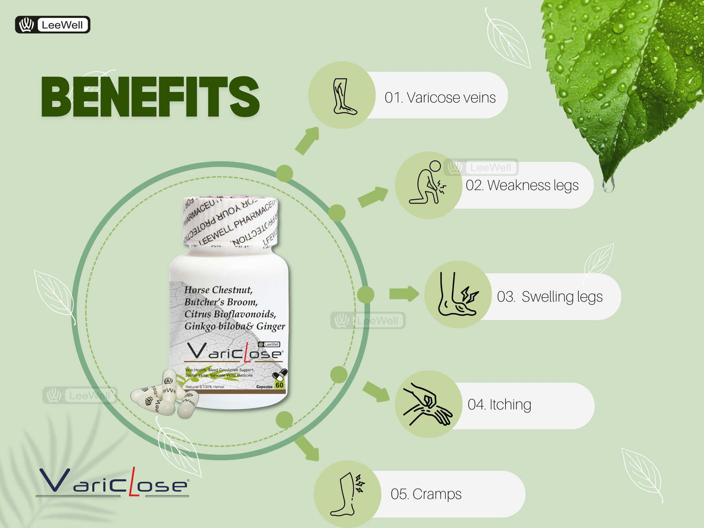 Variclose Vein Support for Vericose Veins, Spider Veins, Vascular Health, Restless Legs Micro Circulation | Citrus Bioflavonoids, Horse Chestnut Extract, Butchers broom, Gingko Biloba, Ginger extract - 60 Capsules